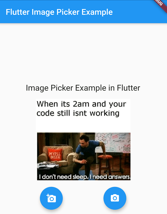flutter image picker camera and gallery example