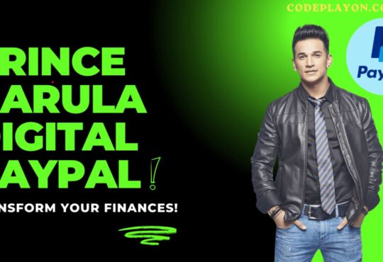 Prince Narula Digital PayPal