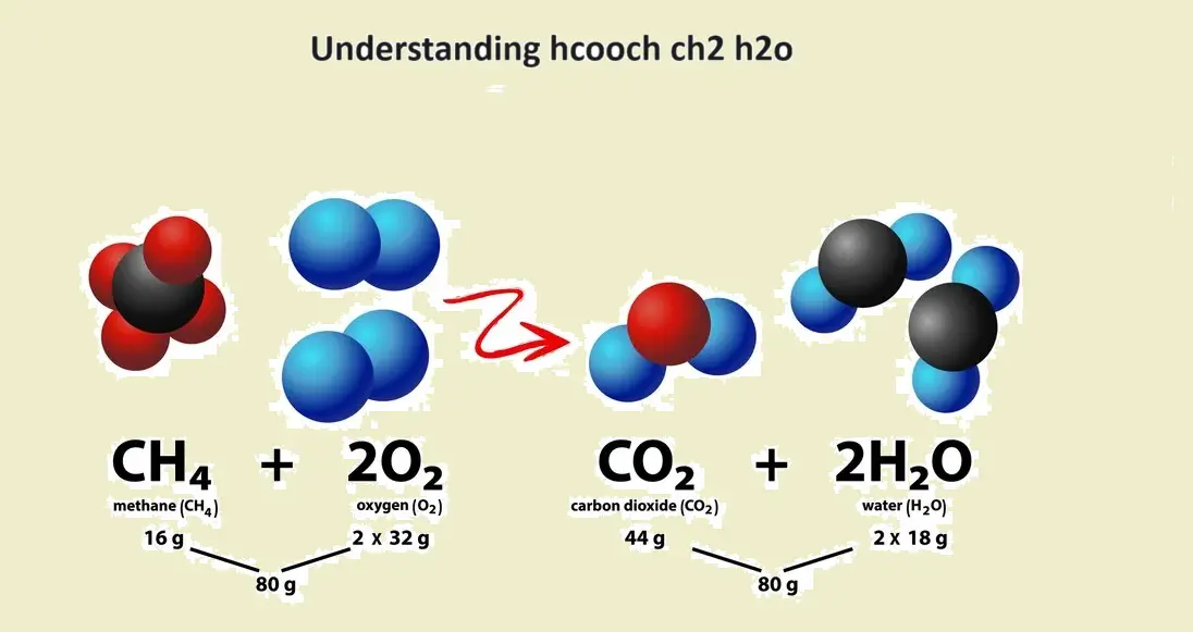 Understanding hcooch ch2 h2o