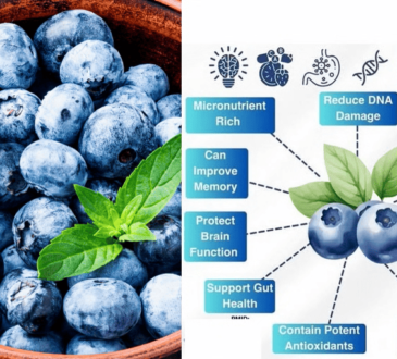 Wellhealthorganic Blueberries