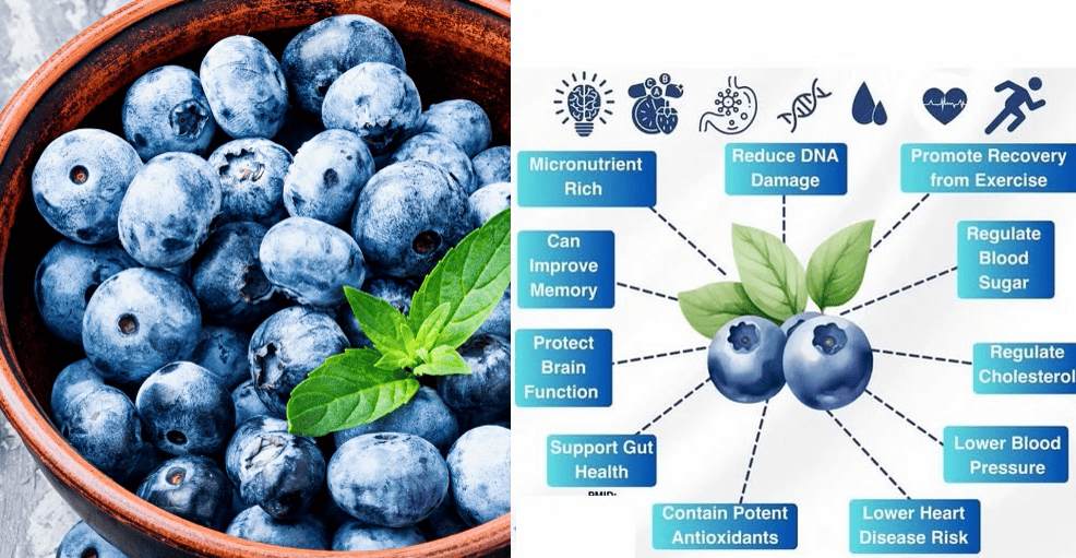 Wellhealthorganic Blueberries